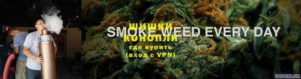 СК Новодвинск