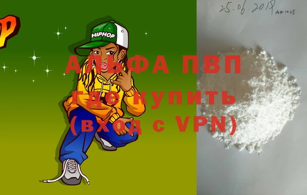 СК Новодвинск