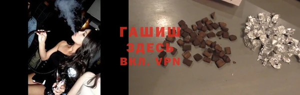 СК Новодвинск