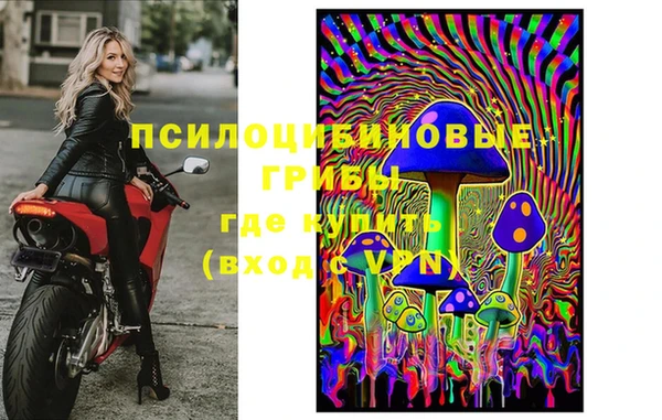 СК Новодвинск