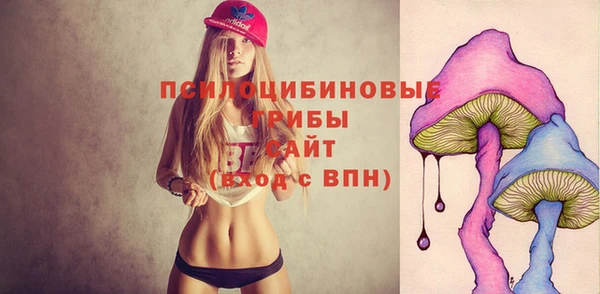 круглые Абаза