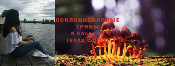 мяу мяу мука Абинск
