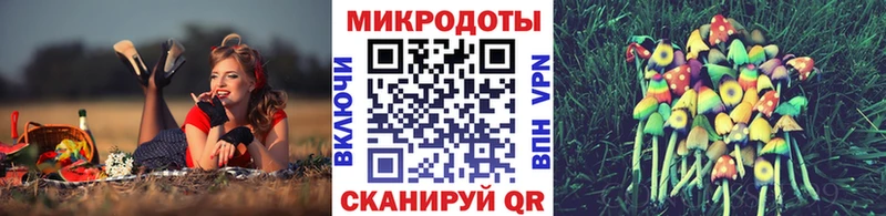 Галлюциногенные грибы Cubensis  Кисловодск 