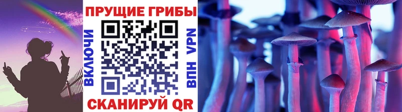 Псилоцибиновые грибы Psilocybine cubensis Кисловодск